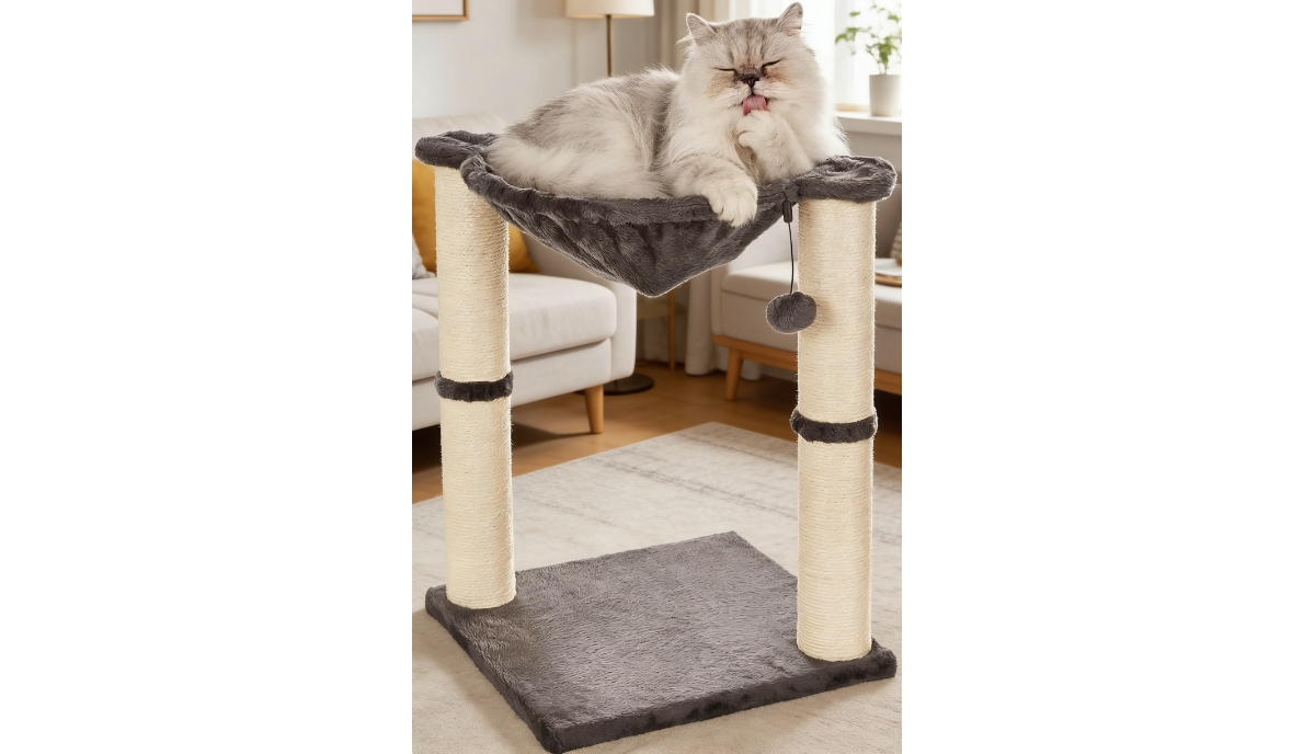 Zeus and Ruta Gray Cat Condo Tower Hammock Scratching Post Interactive Ball Toy Indoor