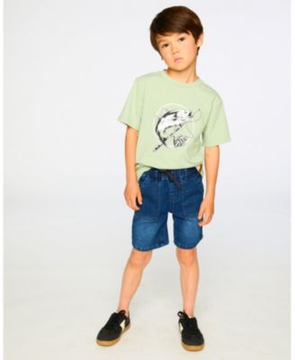 Little Boys ganic Cotton Jersey T-Shirt with Print Sage