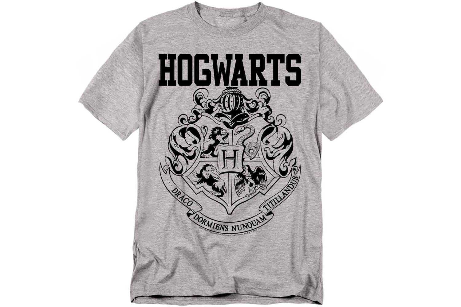 Men's Hogwarts Athletic T Shirt