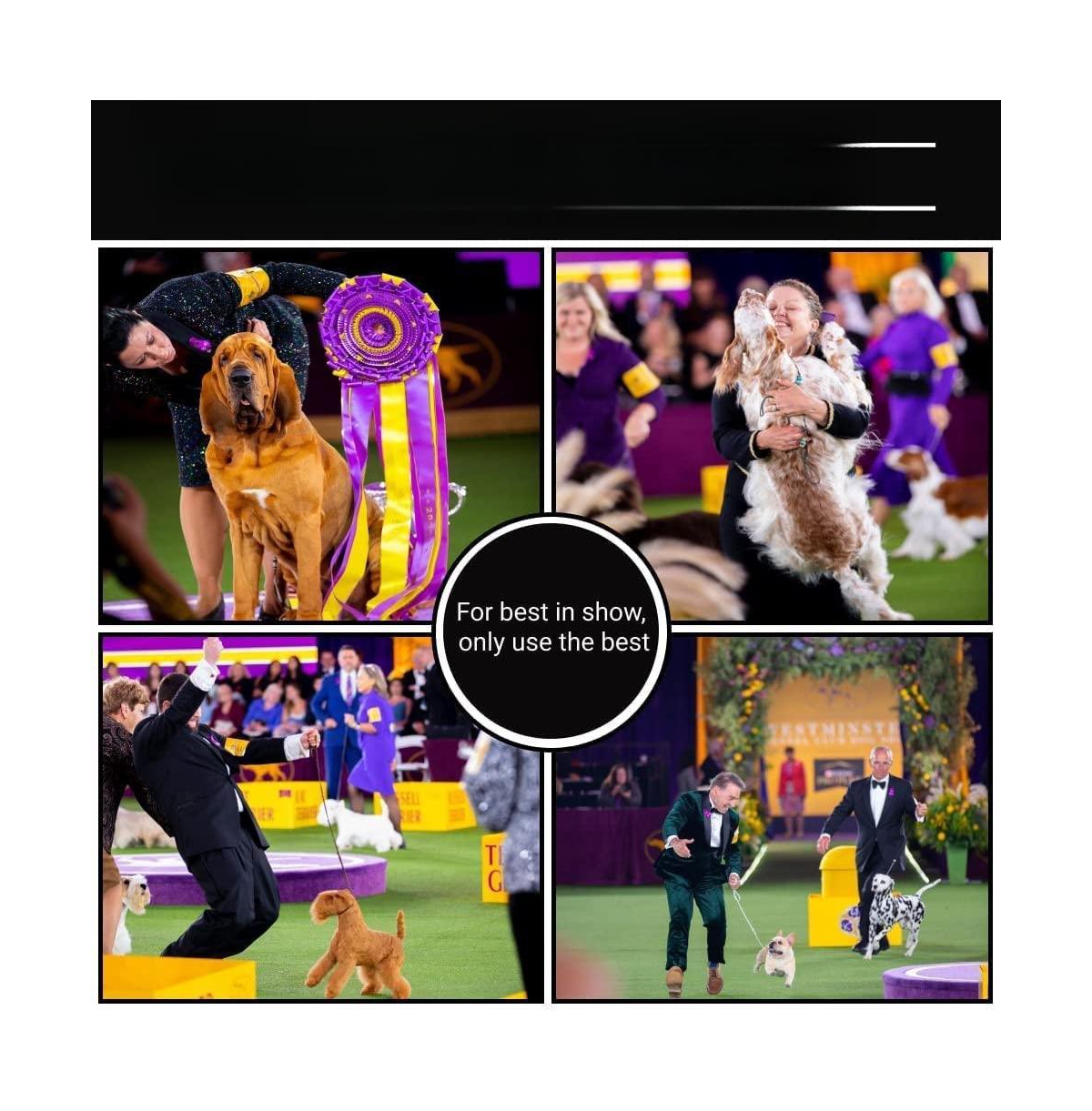 Aronkl Slicker Dog Brush Stainless Steel Pins Beechwood Handle Lightweight Groom Like Pro