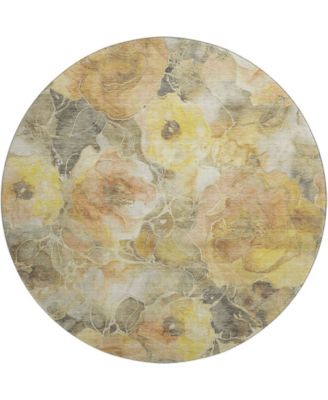 Mayfield Machine Washable AMF1859 8' x 8' Round Area Rug
