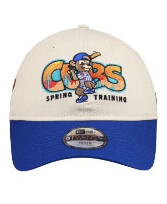 Big Boys and Girls Stone/Royal Chicago Cubs 2026 Spring Training Fan Pack Batter 9TWENTY Adjustable Hat