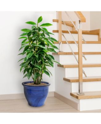 Large Ceramic Planter - Indoor or Outdoor Plant Pot with Drainage Holes - Imperial Blue Glaze Finish - 18" - Studio