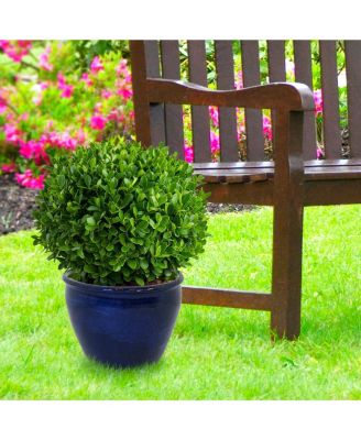 Chalet Outdoor/Indoor High-Fired Glazed UV- and Frost-Resistant Ceramic Planter with Drainage Holes - 15" Diameter