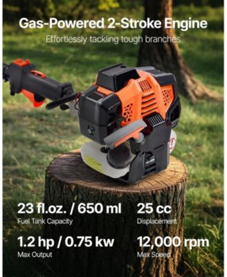 Gas Pole Saw, 25CC, 12" Cutting Bar, Extendable for Tree Trimming, Pruning