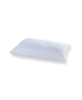 Traditional 2-Pack Pillows, Standard