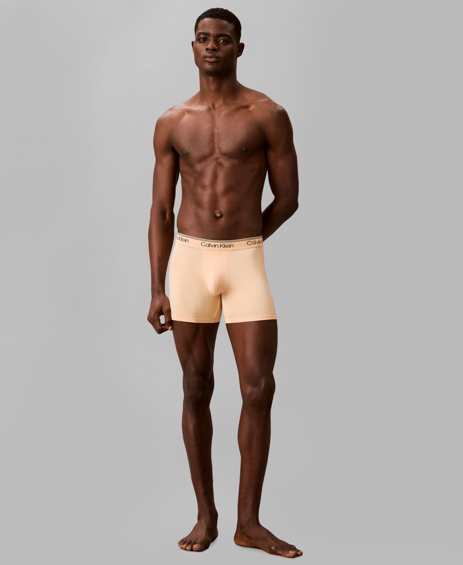 Men's Microfiber Stretch Boxer Briefs Underwear, 4-Pack