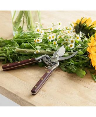 Thai Kitchen and Garden Shears