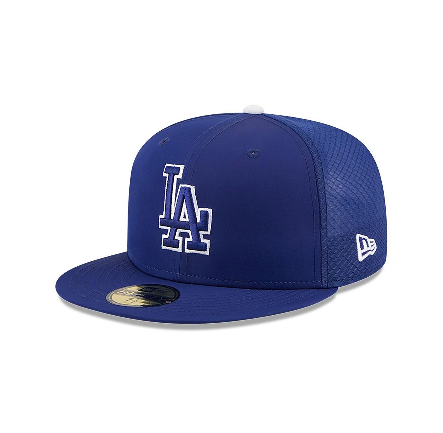 Men's Royal Los Angeles Dodgers 2026 Batting Practice 59FIFTY Fitted Hat