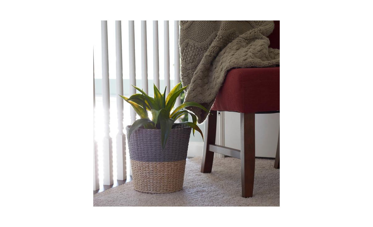 Household Essentials Seagrass Wicker Waste Basket