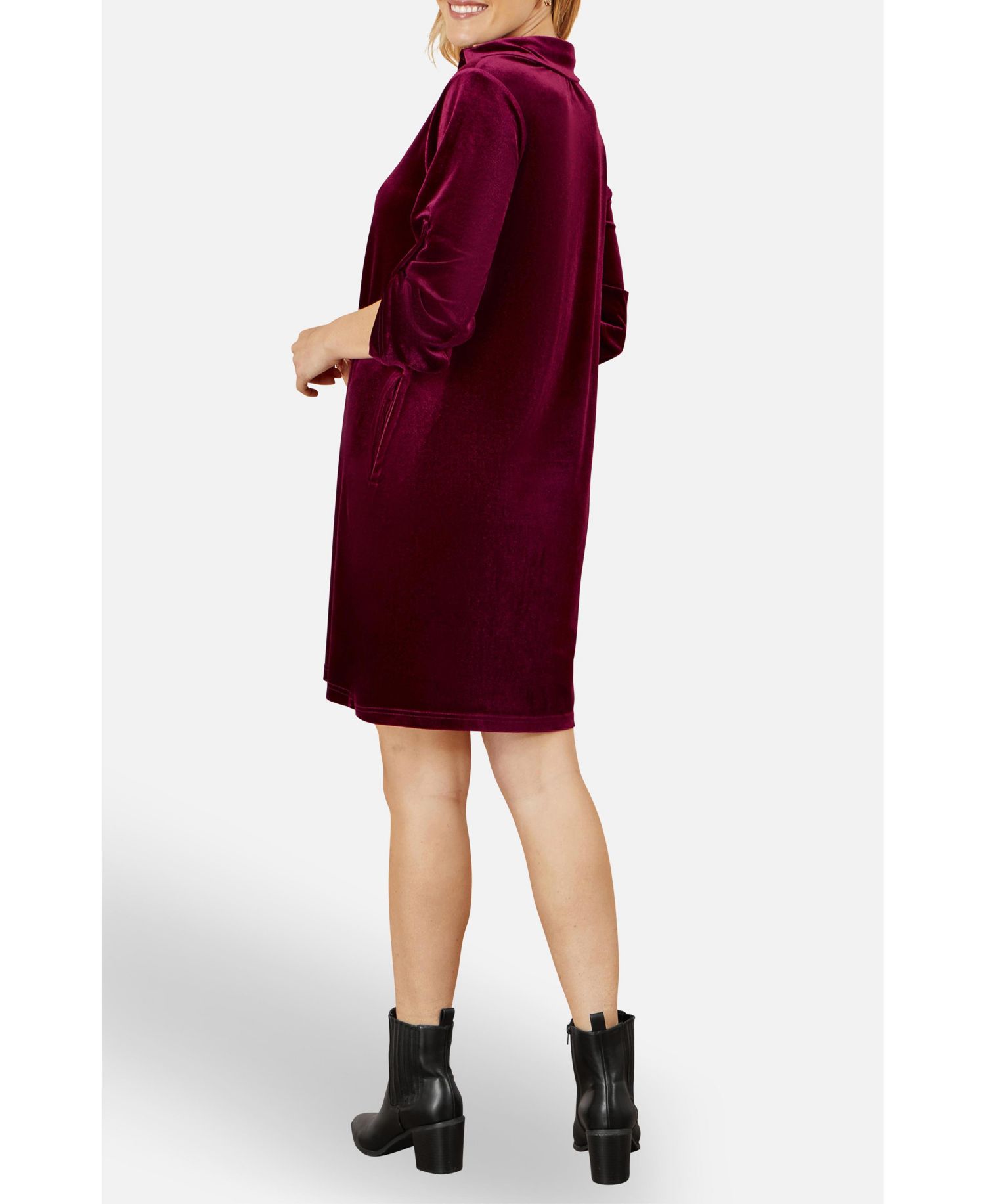 Women's Velvet Sleeve Collared Tunic Dress