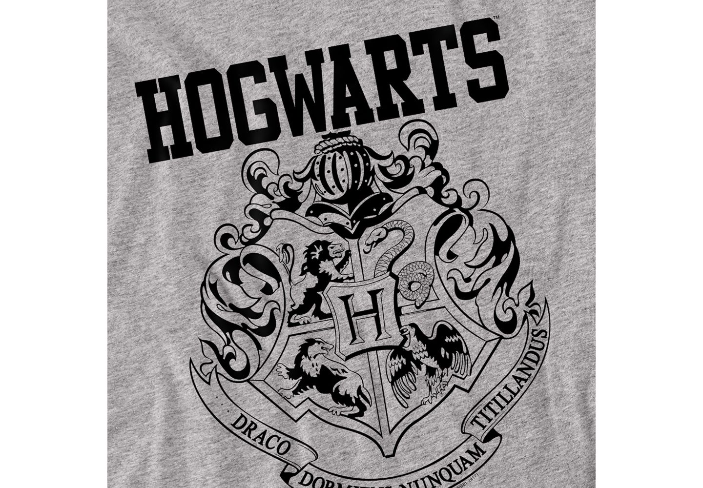 Мужская футболка Harry Potter Big & Tall Hogwarts Athletic, цвет: Золотой — фото 2