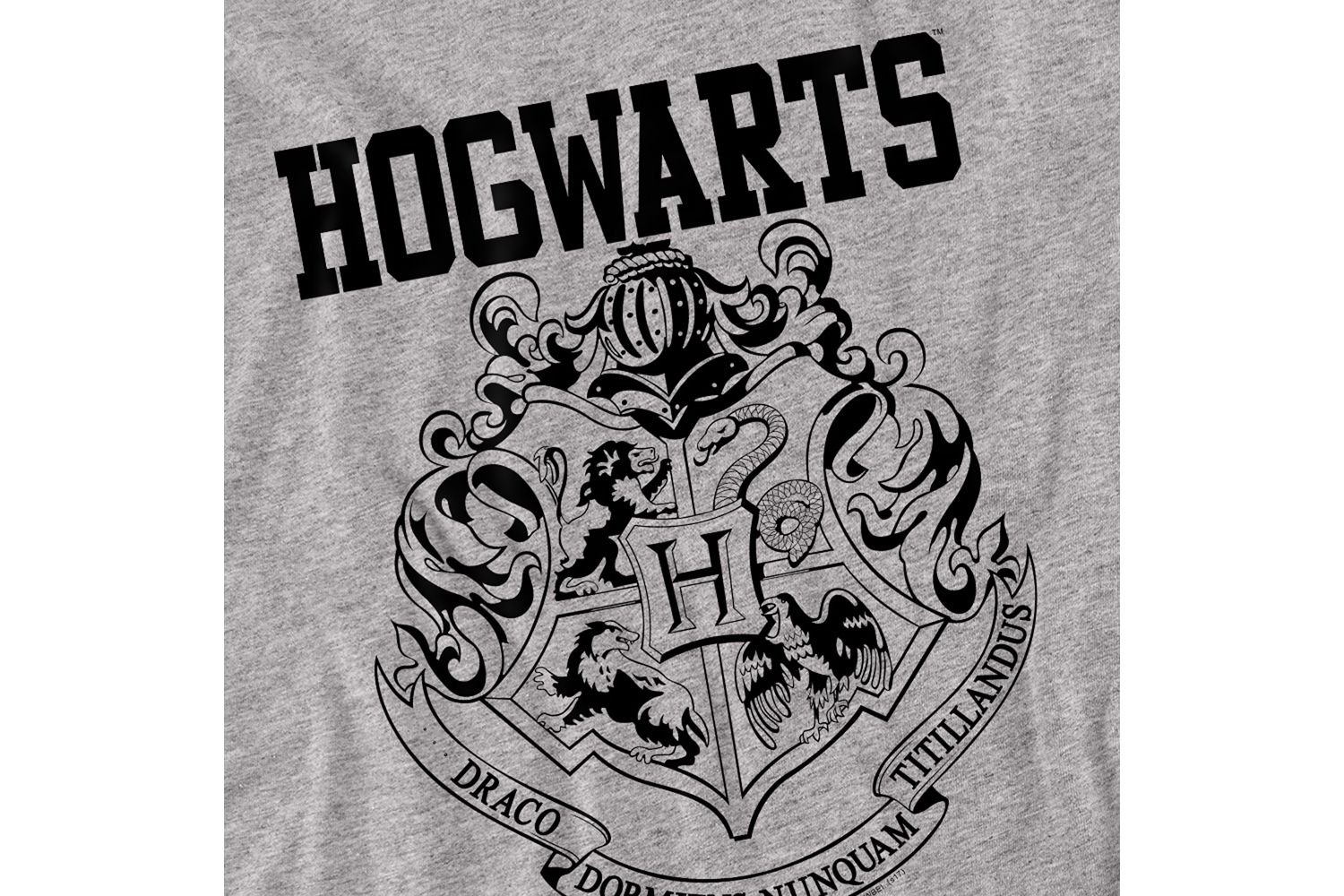 Men's Hogwarts Graphic Athletic T-Shirt