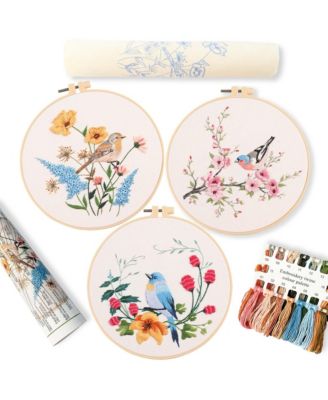 3p Embroidery Starter Kit Patterns DIY Adult Beginner Plastic Rings Colored Threads Instructions