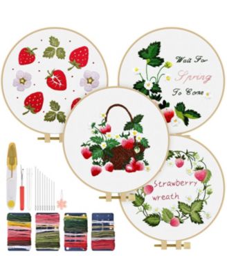 Embroidery Kit Adults Beginner Flowers Bird Hoop Thread