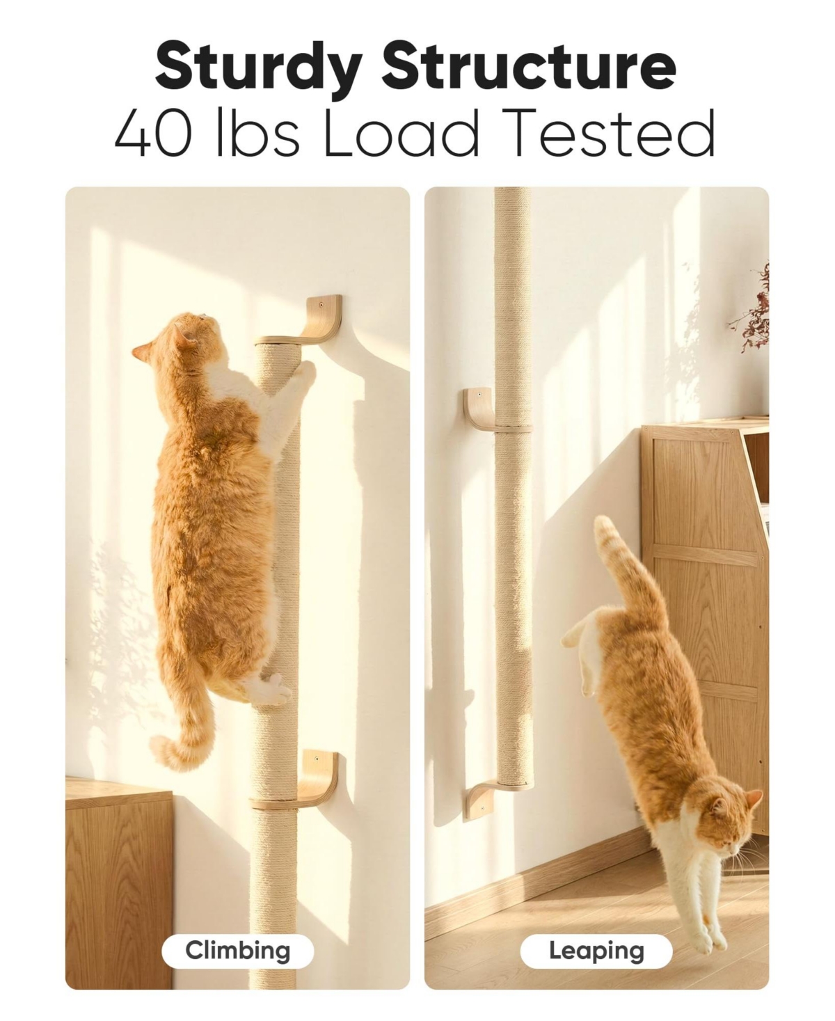 Aronkl Cat Wall Scratcher 60" Tall Mounted Kitten Sturdy Sisal Climbing Tree For Indoor Large Cats