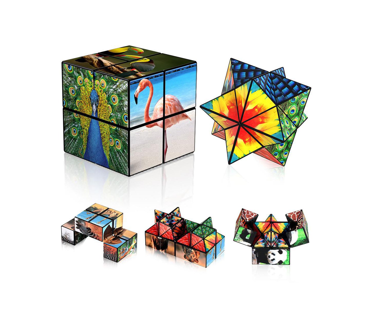 Детская игрушка Bruce & Shark 2-in-1 Animal Theme Fidget Cube, 2-Piece Puzzle, Ages 8+ — фото 5