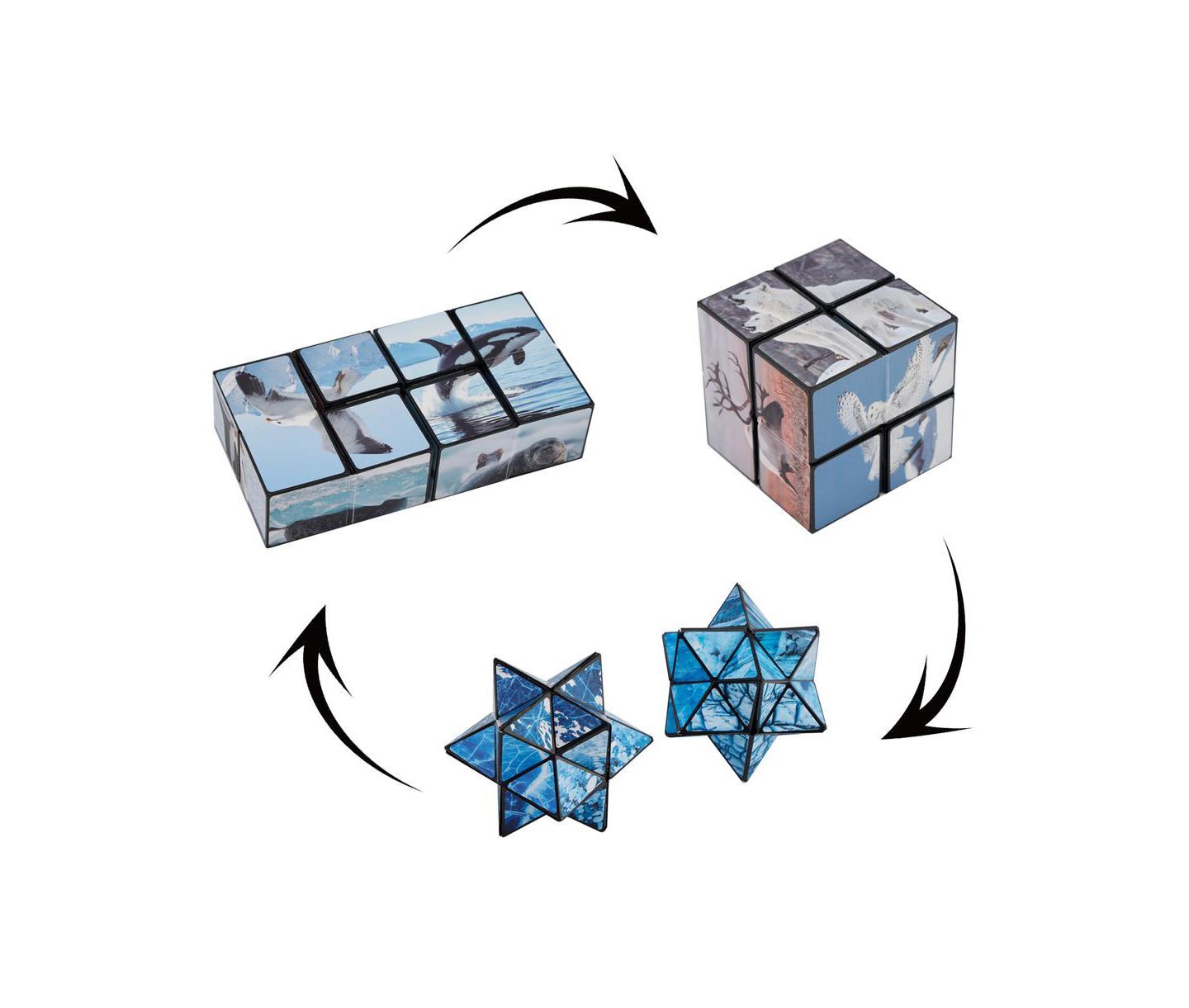 Детская игрушка Bruce & Shark 2-in-1 North and South Poles Fidget Cube - Folds into Star, Cube & Rectangle — фото 5