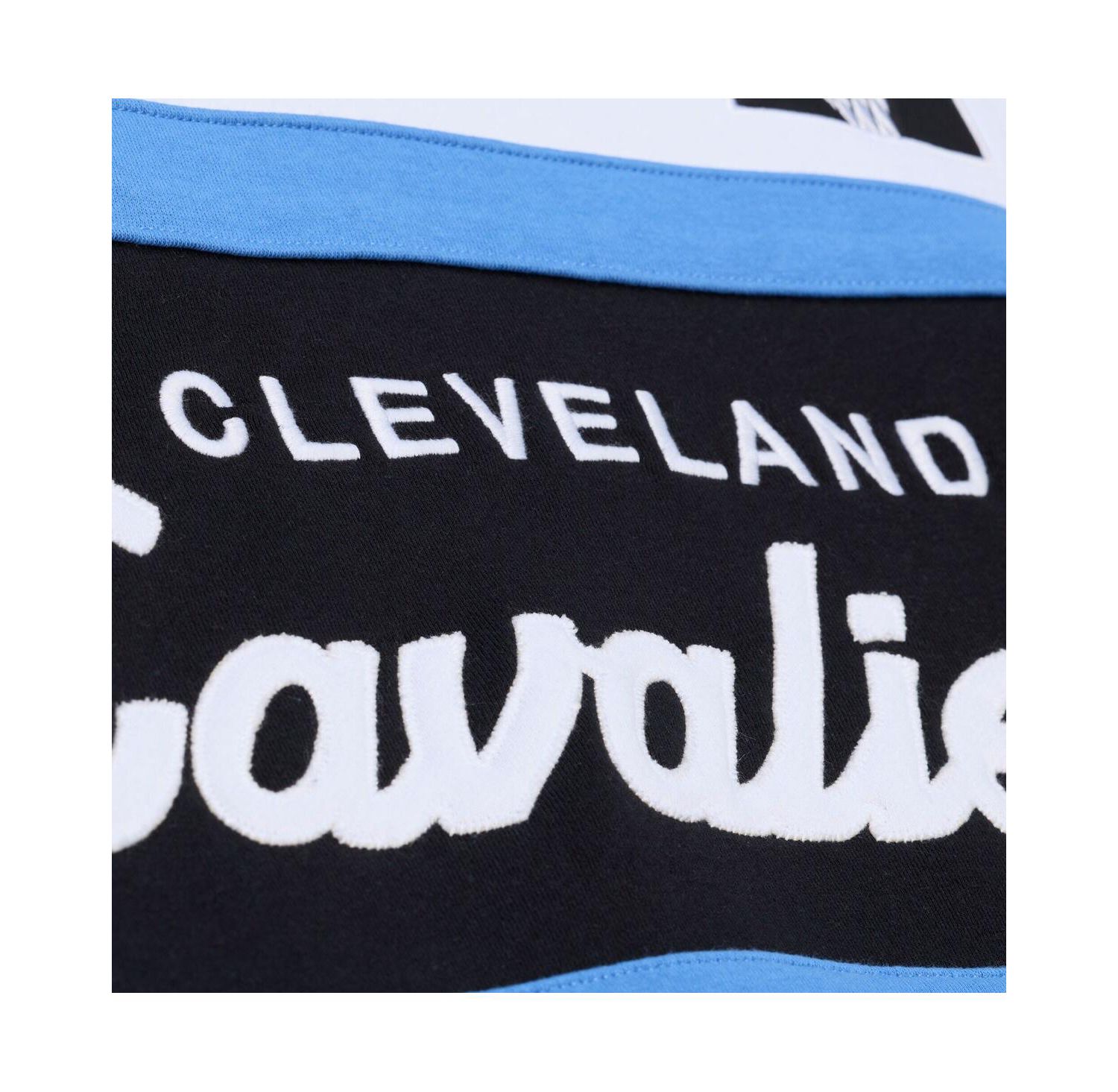 Men's Black Cleveland Cavaliers Head Coach Hoodie