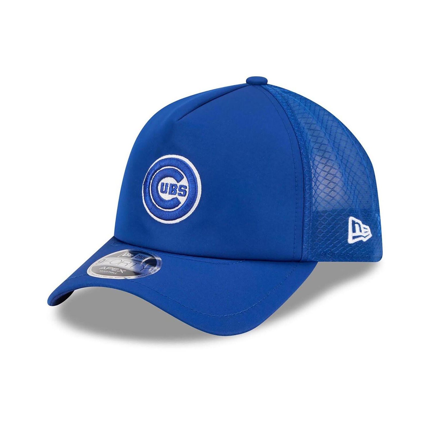 Men's Royal Chicago Cubs 2026 Batting Practice Alternate Apex 9FORTY Adjustable Hat