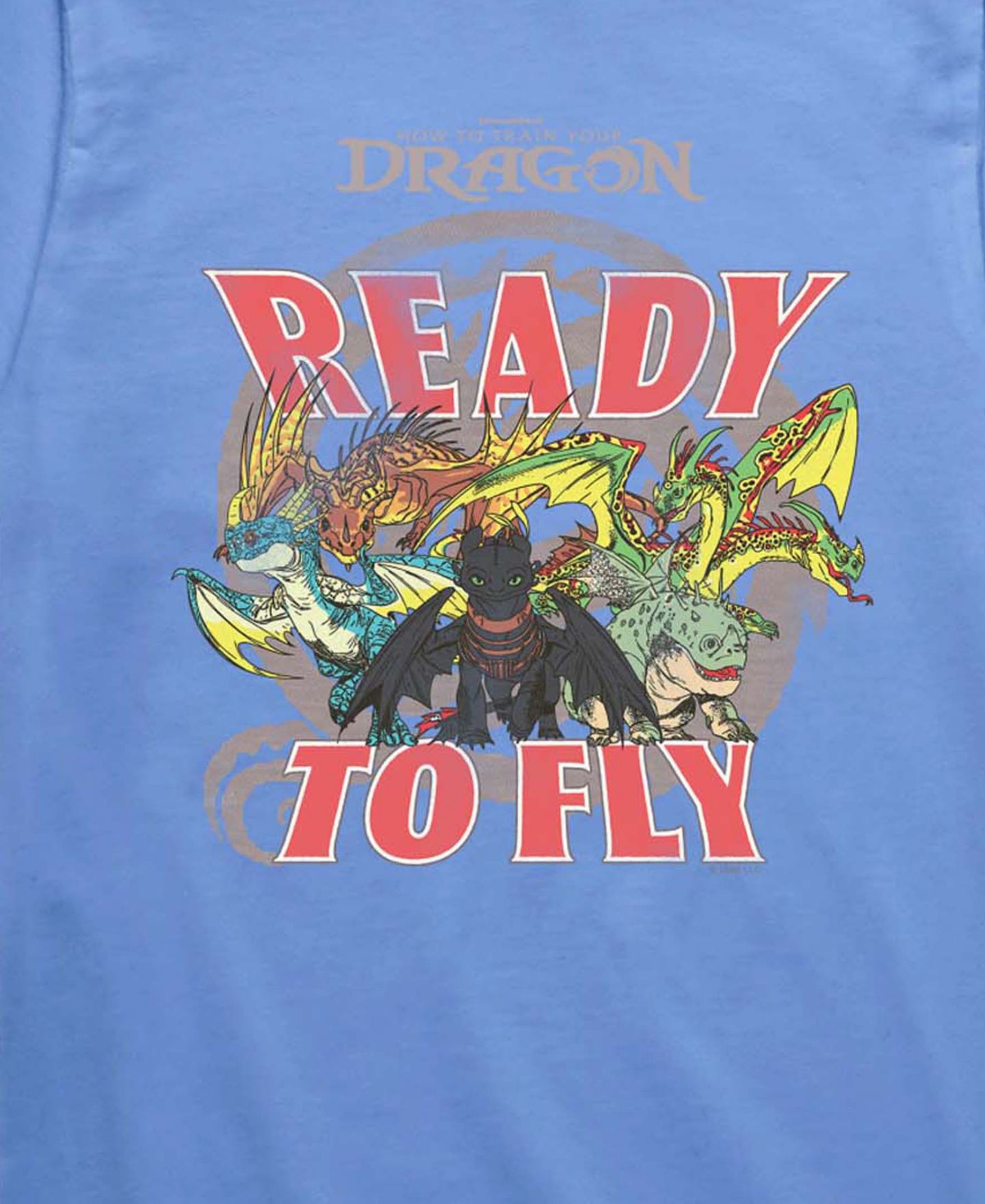 Футболка How to Train Your Dragon Short-Sleeve для мальчиков, цвет: Синий — фото 3