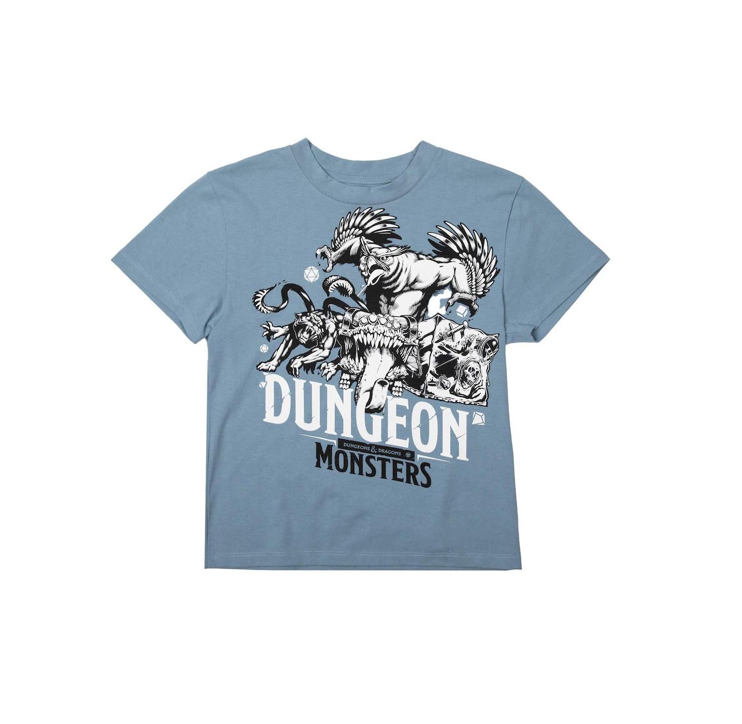 Dungeons and Dragons Youth Boys 4- Pack Tees-Large