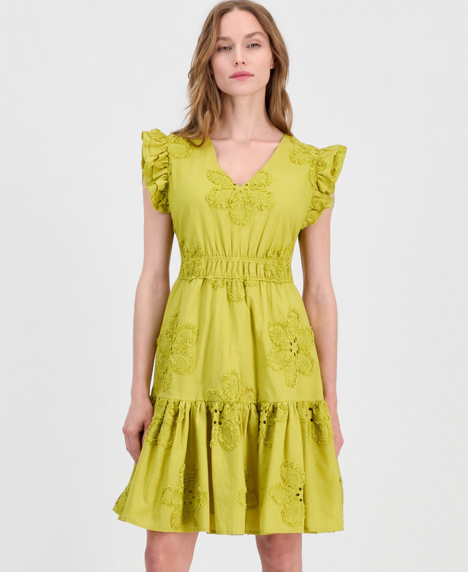 Women's Eyelet Embroidered Cotton A-Line Dress