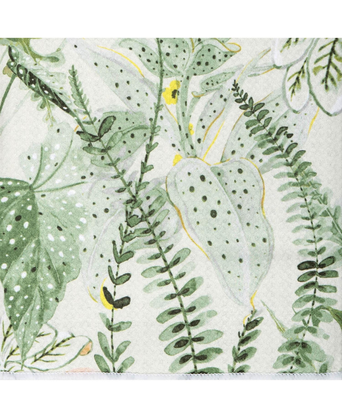 C&F Home Parson Abstract Botanical Watercolor Cotton Printed Dishtowel