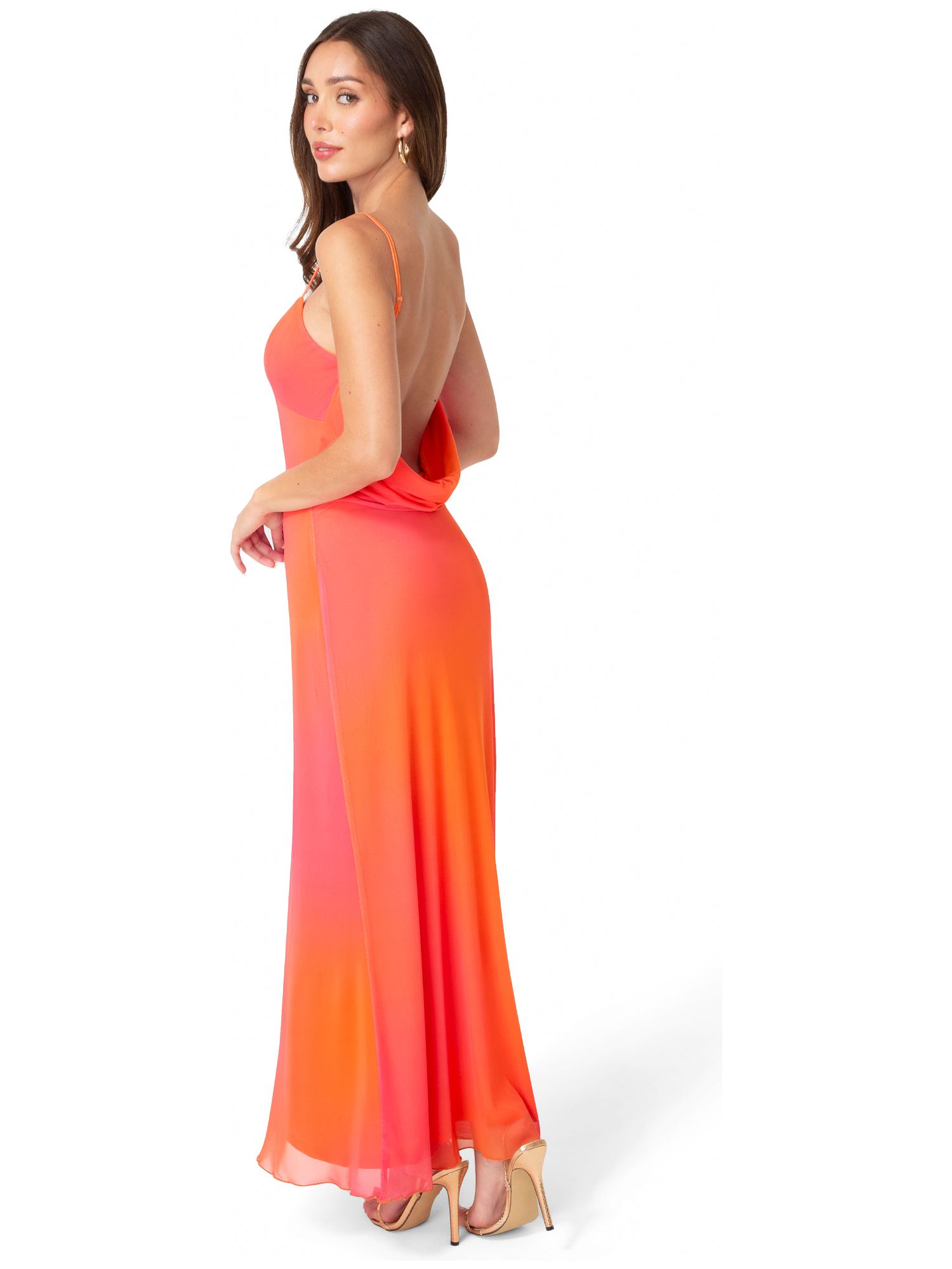 Women's Printed Mesh Drape Back Maxi Dress