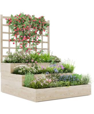 indoor plants with pots ZZ Plant - Large (2-3' tall) Cement Grey Planter