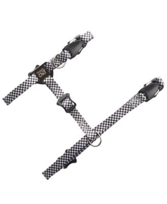 The Day Tripper Adjustable H-Style Cat Harness and Bungee Leash Set