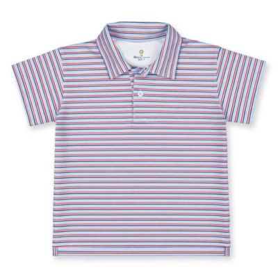 Toddler Boys Stripe Print Performance Knit Polo