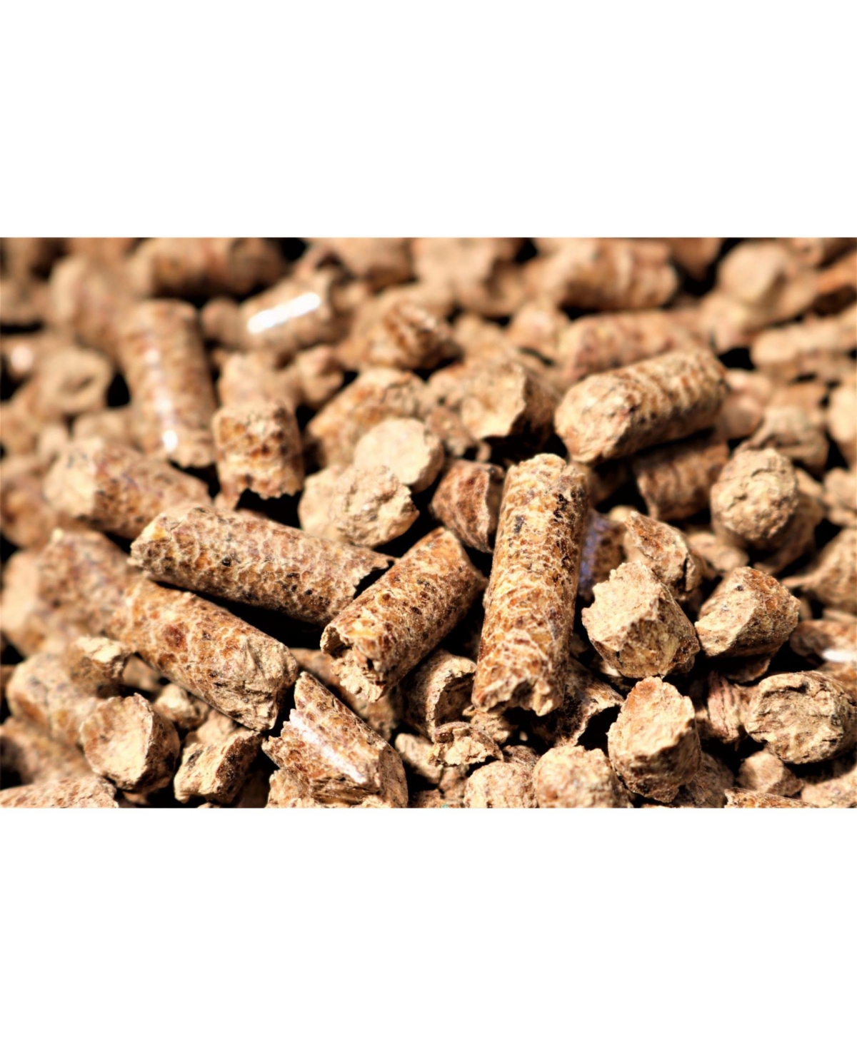 Bear Mountain Bbq Natural Hardwood Pecan Sweet Flavor Pellets, 20lbs (2 Pack)