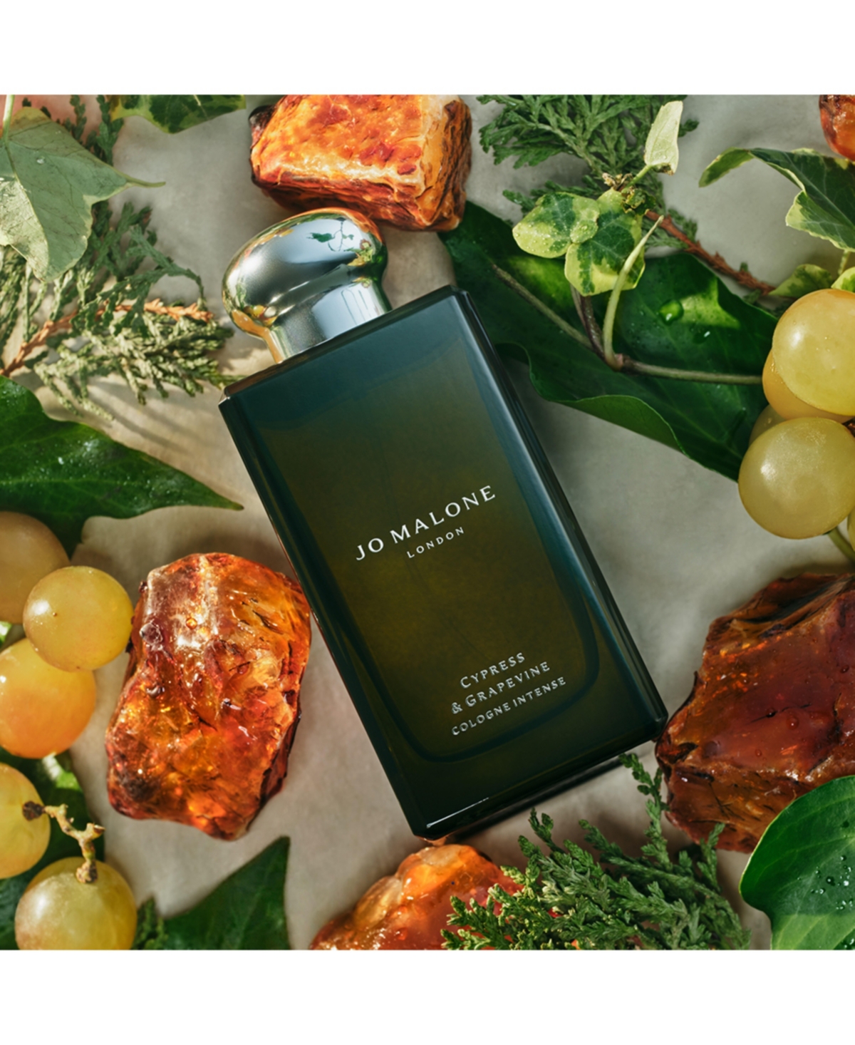 Jo Malone London Cypress & Grapevine Cologne Intense