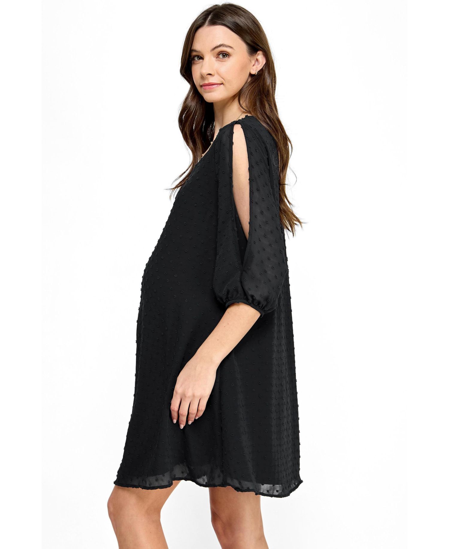 Women's Swiss Dot Split Sleeve V Neck Dress