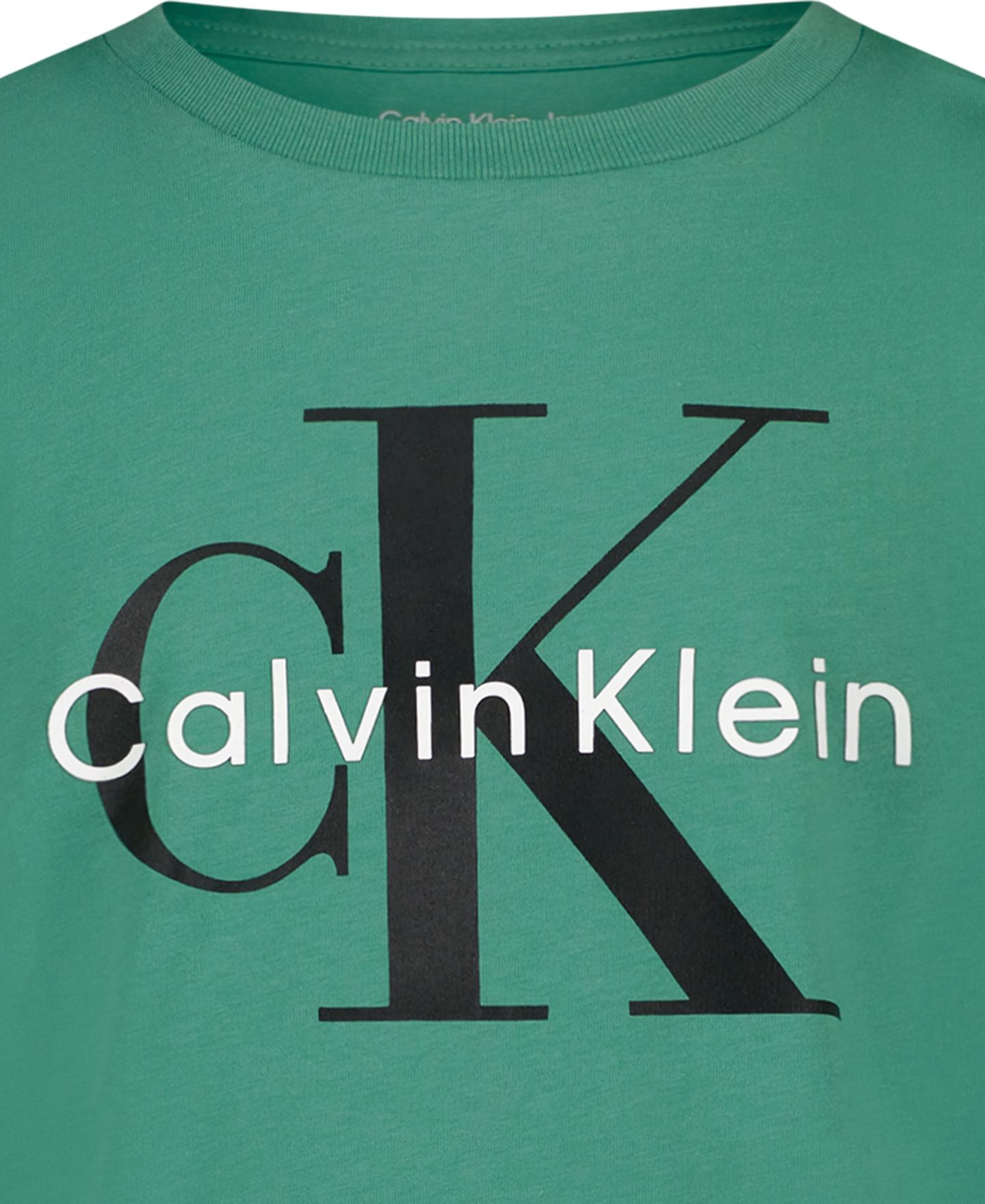 Футболка Calvin Klein Monologo Crewneck Short-Sleeve для мальчиков, цвет: Зелёный — фото 4