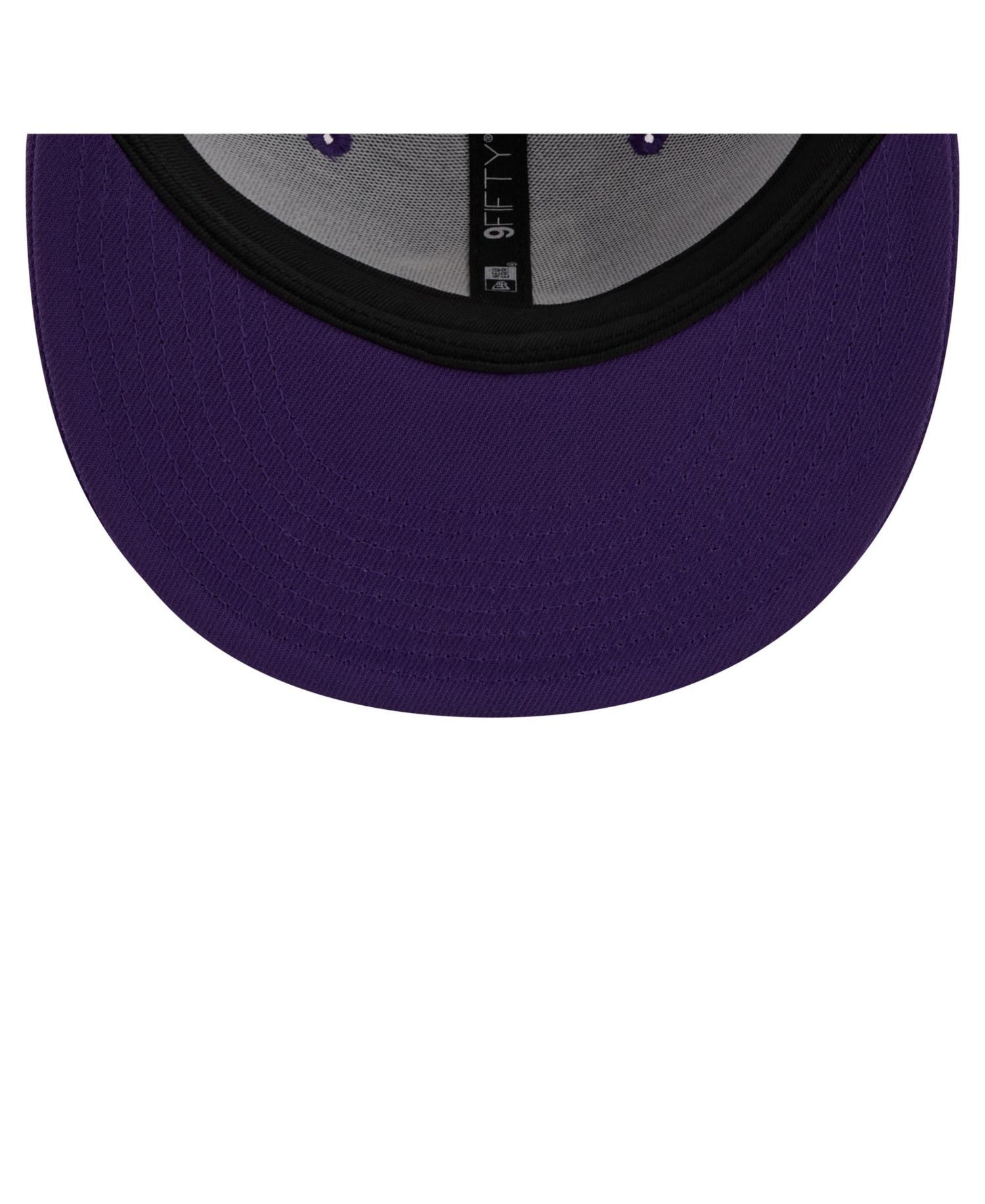 Men's Purple Minnesota Vikings Core Team 9FIFTY Trucker Snapback Hat