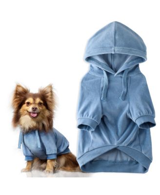 Cooper II The Velour Hoodie