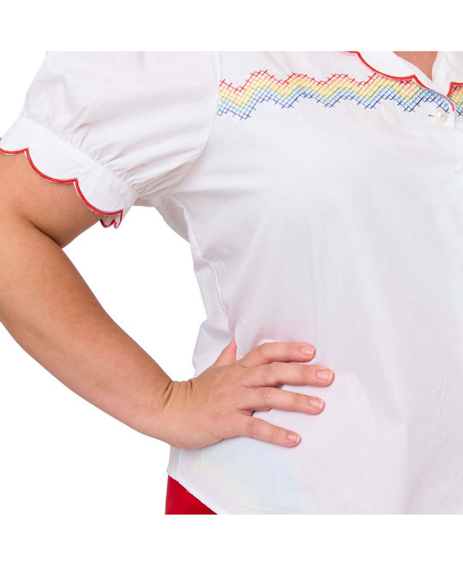 Plus Size Embriodered Puff Sleeve Top