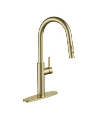 Kitchen Faucet with Pull Down Sprayer