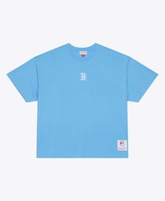 Men's Light Blue Boston Red Sox Insignia Premium T-Shirt