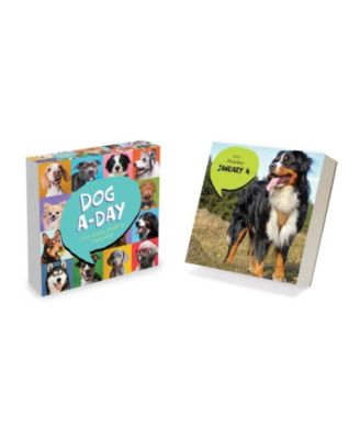 2027 Dog A Day Daily Desktop Calendar