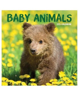 2027 Baby Animals Wall Calendar
