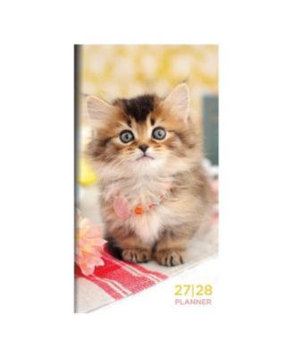 TF Publishing Paper Goods - 2027-2028 Kitten Small Monthly Pocket Planner Multicolor