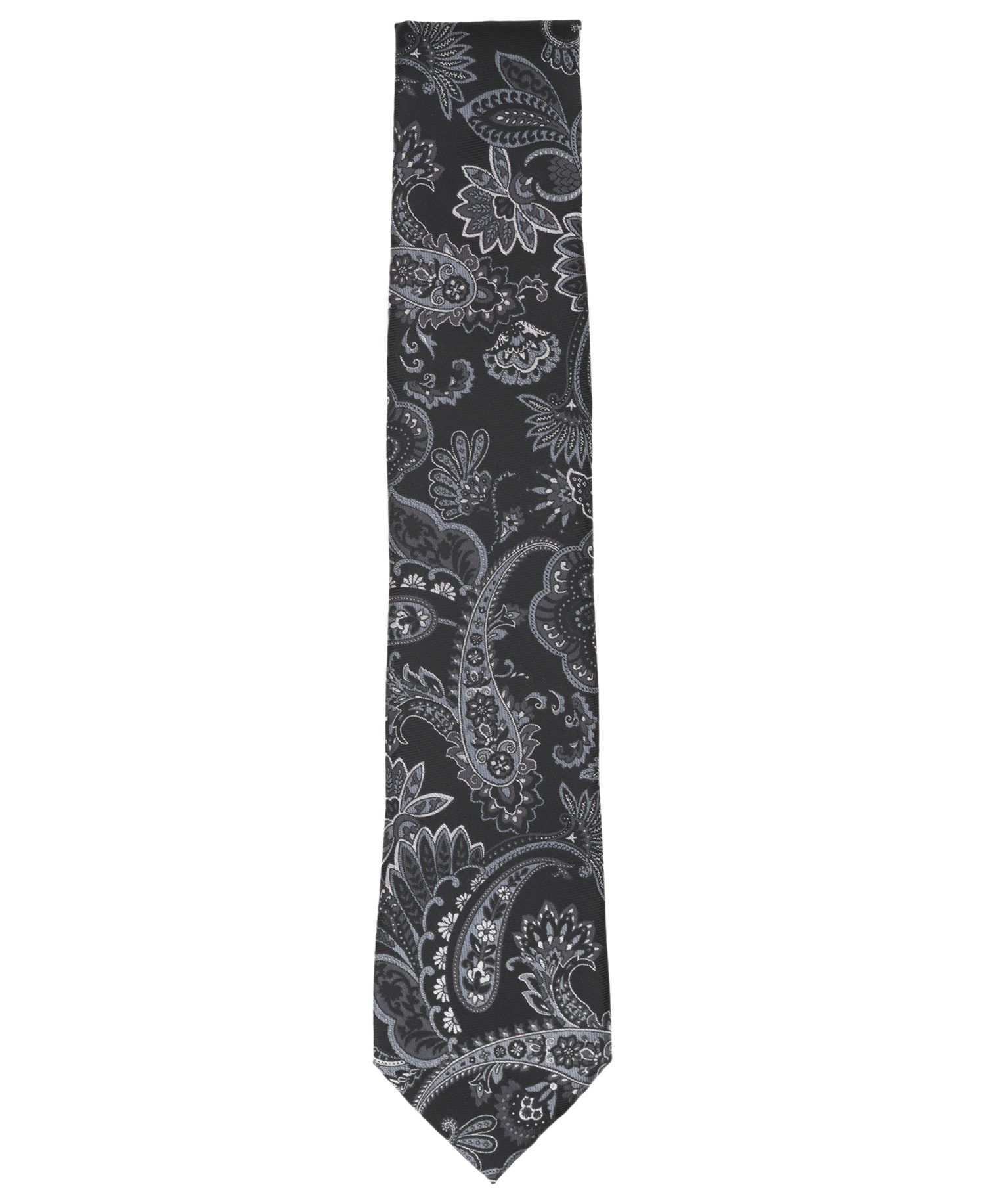 Men's Harbor Paisley Tie