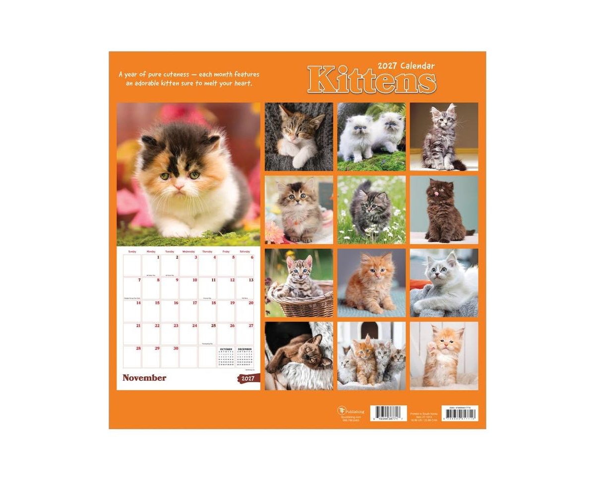 Tf Publishing Paper Goods 2027 Kittens Wall Calendar
