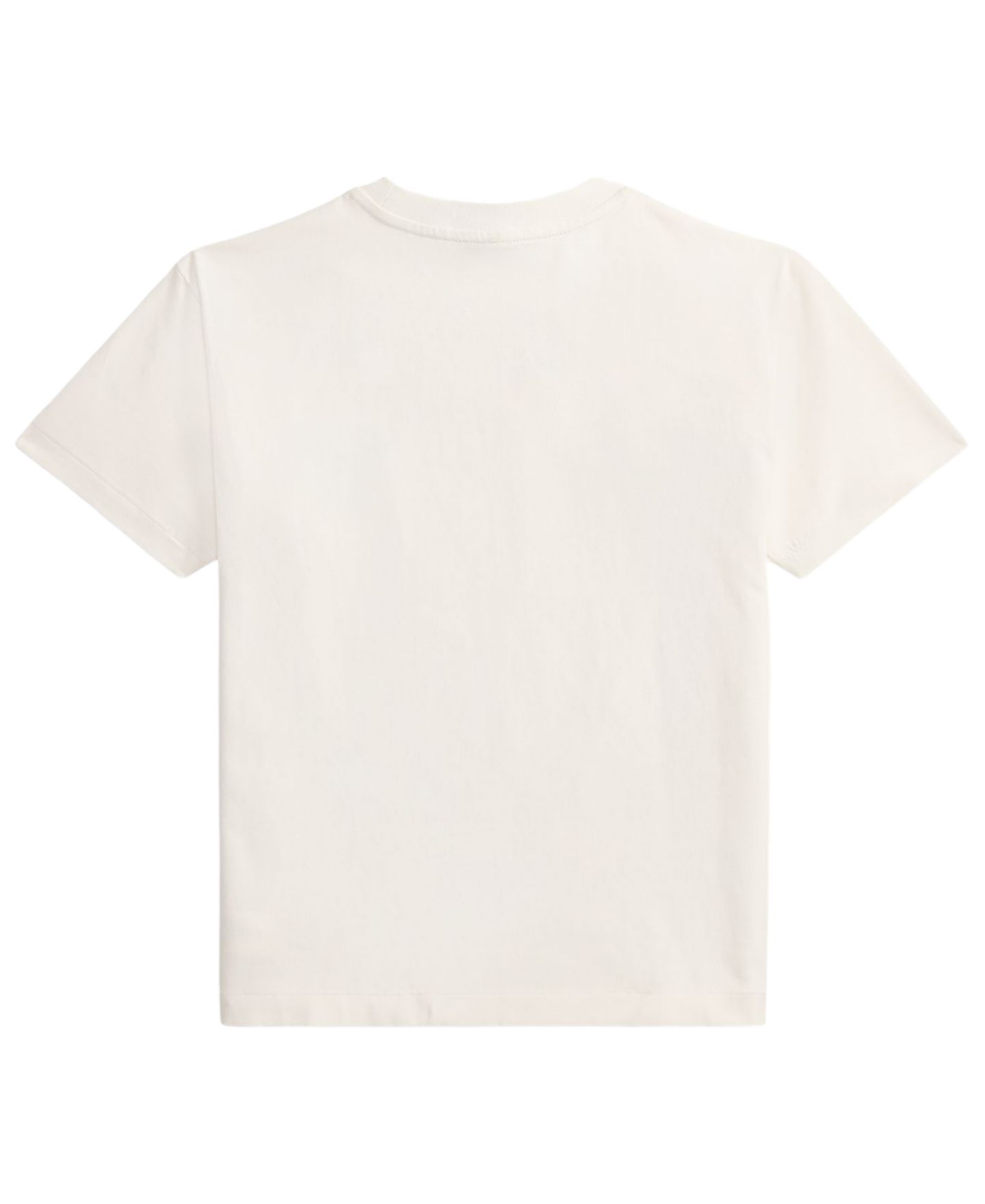 Футболка Polo Ralph Lauren Big Fit Heavyweight Jersey для мальчиков, цвет: Nevis — фото 2
