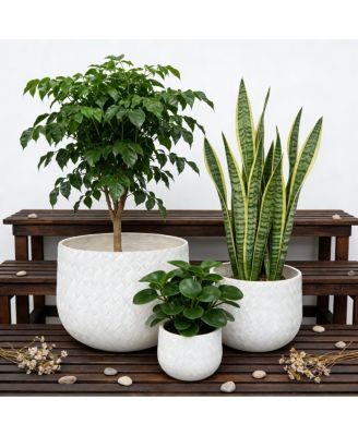Set of 3 Round Magnesium Oxide Planters with Weaving Pattern