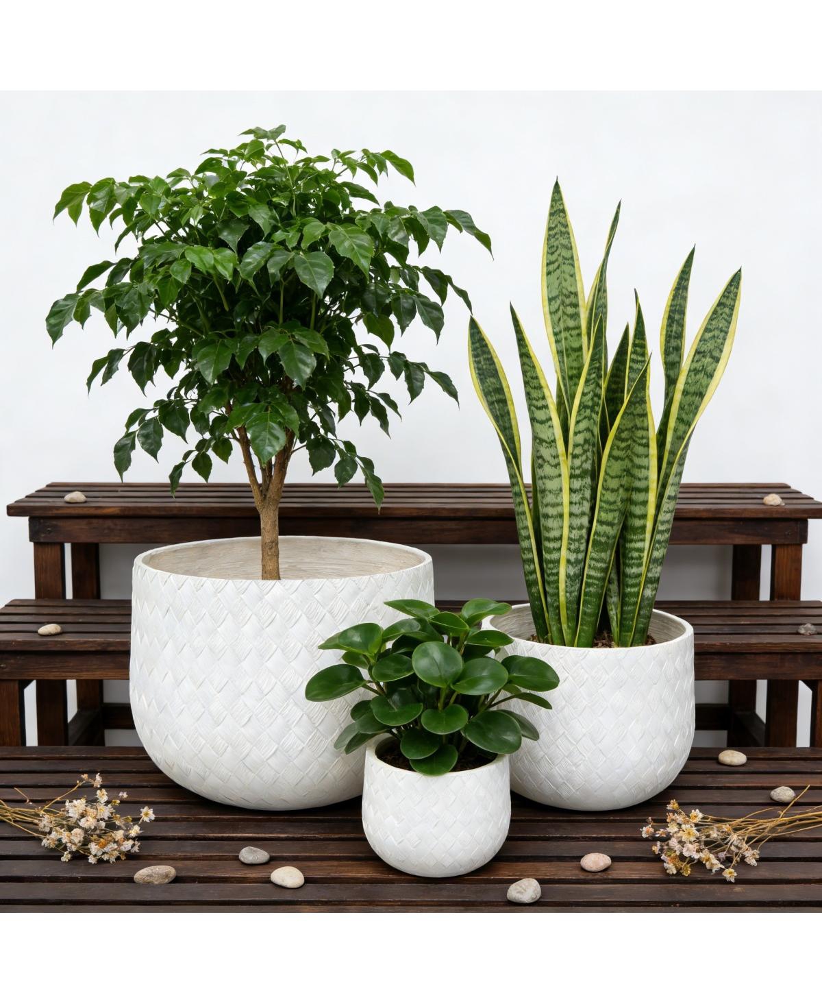 Streamdale Furniture Set of 3 Round Magnesium Oxide Planters with Weaving Pattern