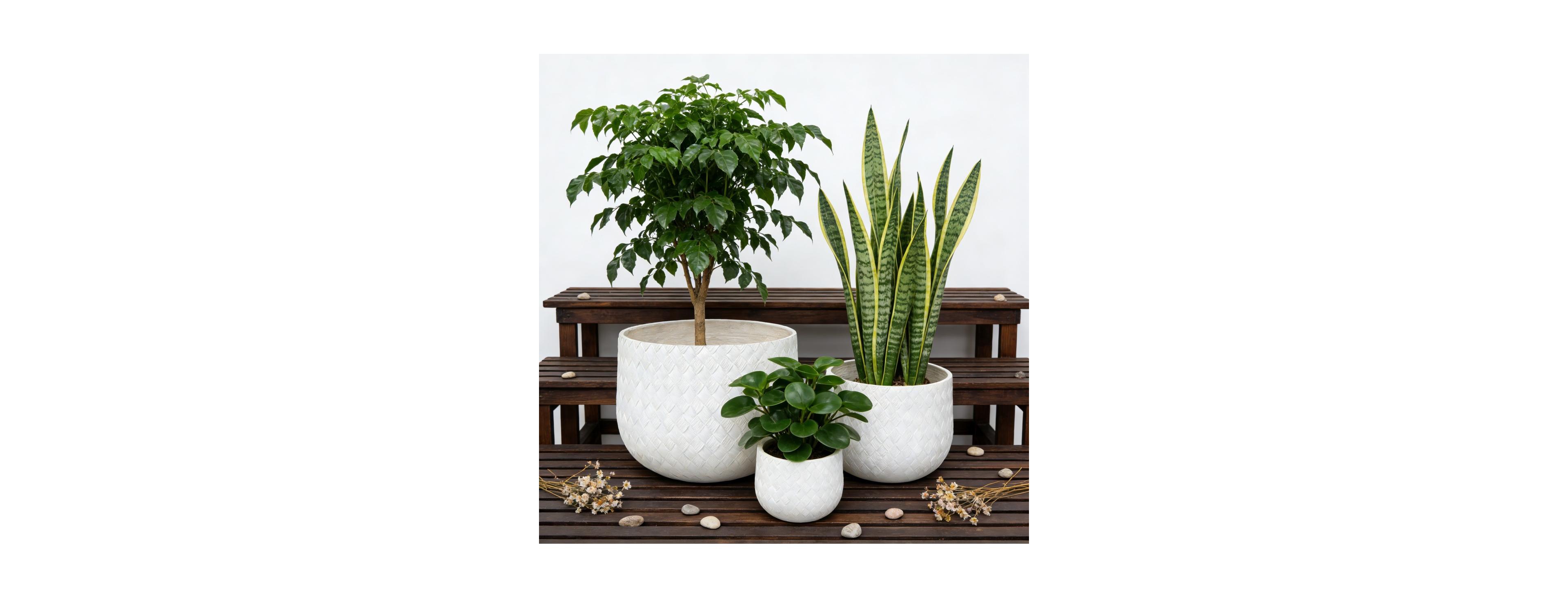 Streamdale Furniture Set of 3 Round Magnesium Oxide Planters with Weaving Pattern